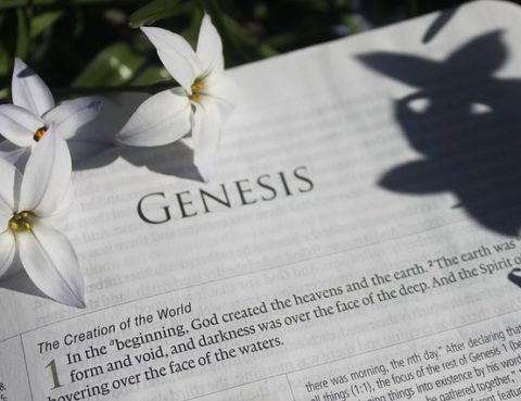 genesis-creation-order