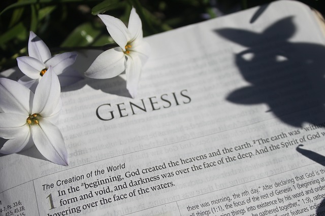 genesis-creation-order