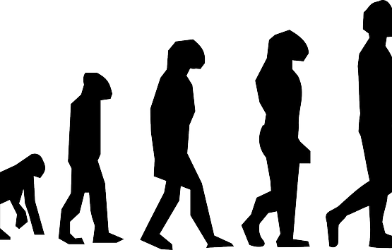 evolution-diagram