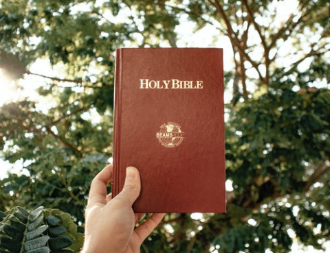 The-Holy-Bible