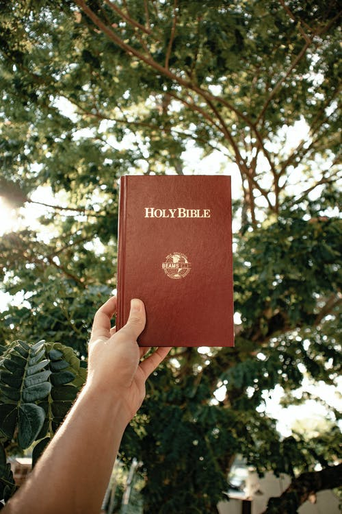 The-Holy-Bible