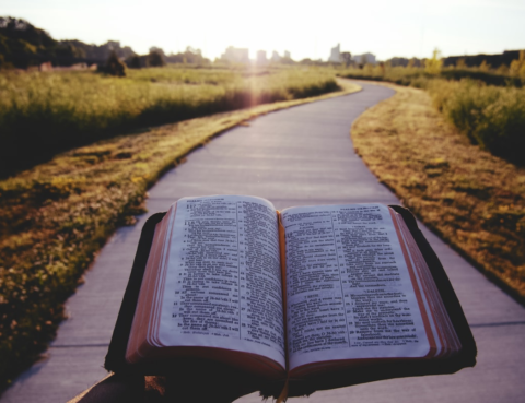 open-Bible-road